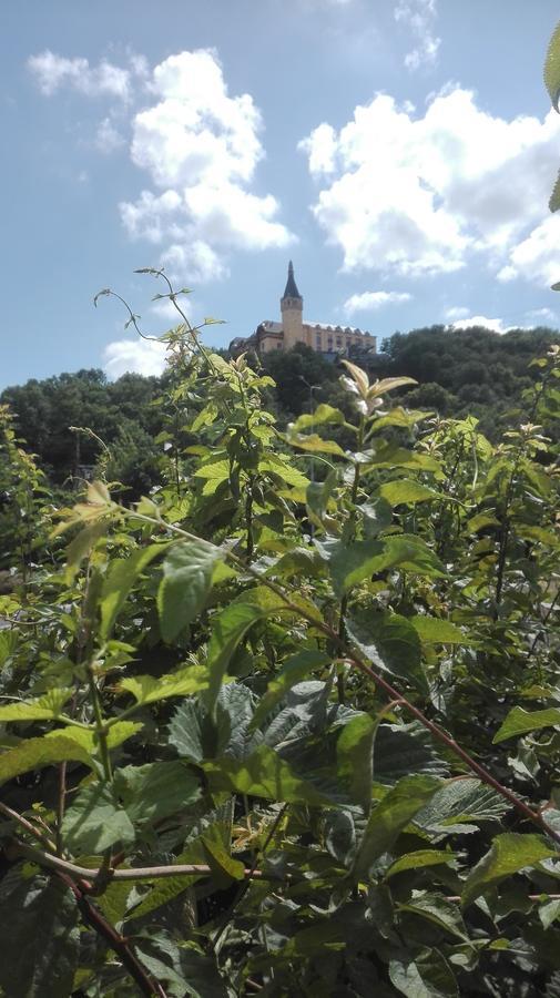 דירות Ústí nad Labem Lucka מראה חיצוני תמונה